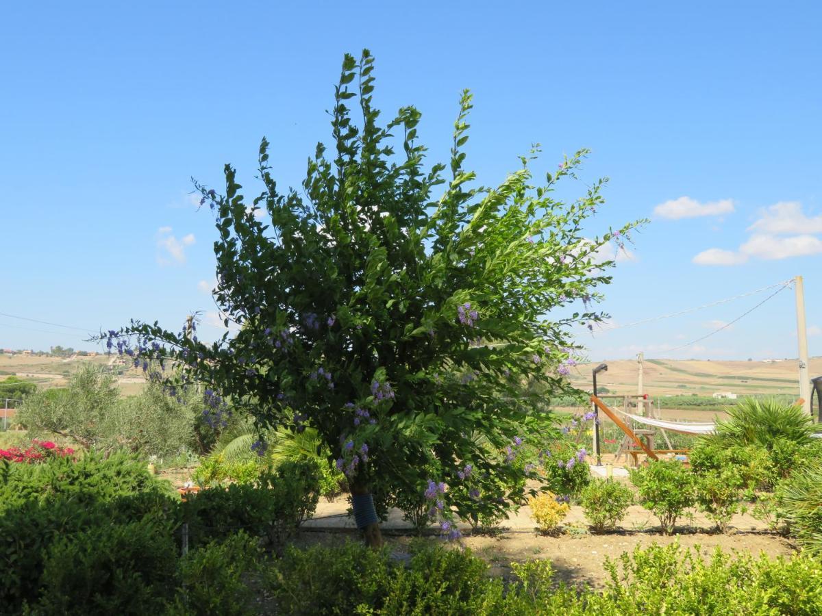 פורטו פאלו Case Barrera מראה חיצוני תמונה